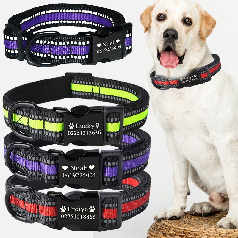 Custom dog collar - Premium all pets - Just $27.04! Shop now at Animal Bargain
