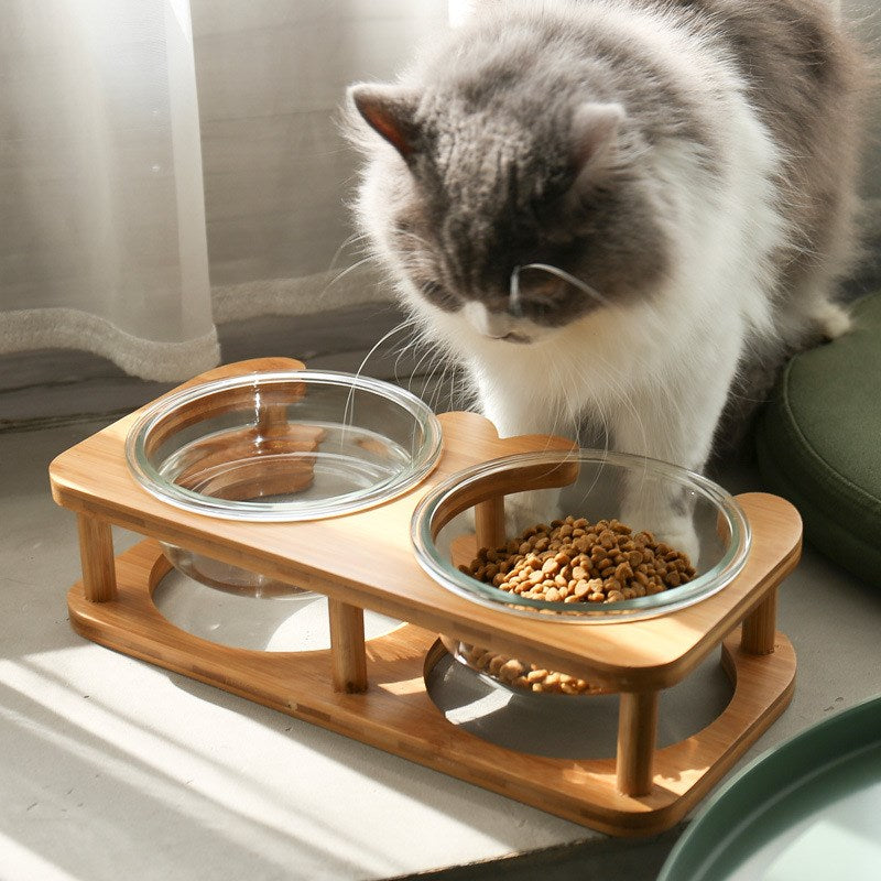 Glass cat bowl cat food bowl cat food bowl - Premium Bowls + Dispenser - Just $12.74! Shop now at Animal Bargain