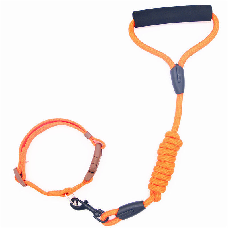Pet Leash Dog Collar, Dog Leash, Dog Chain - Premium Collars + Leashes - Just $14.59! Shop now at Animal Bargain