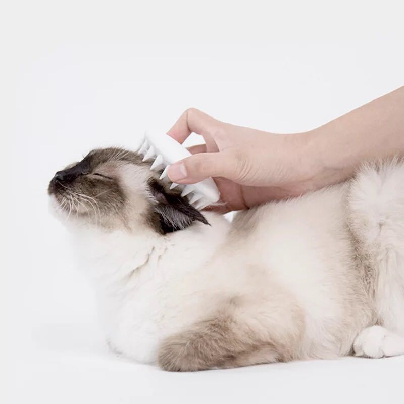 Cat Gloves Cat Grooming - Premium all pets - Just $48.88! Shop now at Animal Bargain