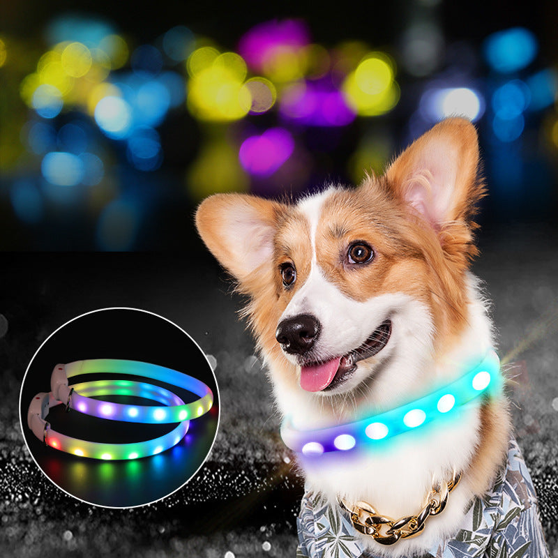 Rechargeable Collar Pet Supplies Luminous Leisure Dog Walking Leash - Premium Collars + Leashes - Just $31.47! Shop now at Animal Bargain