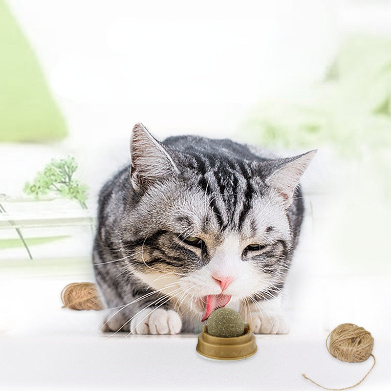 Catnip Balls Cat Treats Rotary Molar Teeth Cleaning - Premium all pets - Just $26.28! Shop now at Animal Bargain