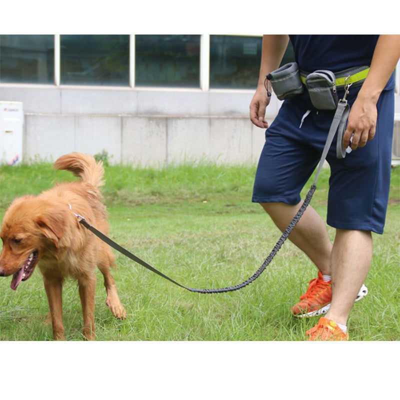 Adjustable Hands Free Dog Leash - Premium all pets - Just $48.65! Shop now at Animal Bargain