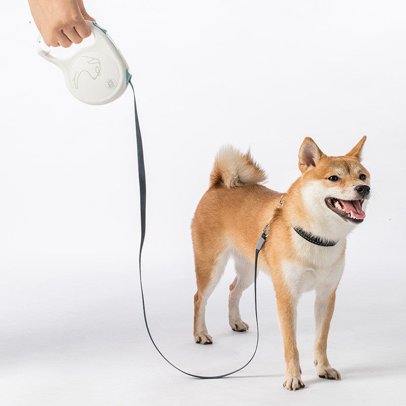 Pet Retractable Leash For Small, Medium And Large Dogs - Premium all pets - Just $54.76! Shop now at Animal Bargain