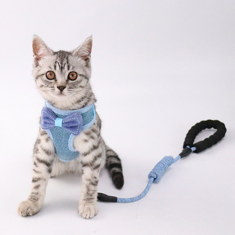 Pet chest and back leash - Premium 0 - Just $16.05! Shop now at Animal Bargain