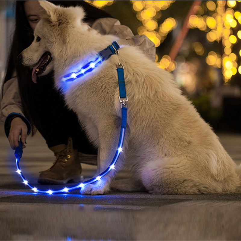 Creative LED USB Charging Luminous Pet Leash - Premium all pets - Just $56.24! Shop now at Animal Bargain