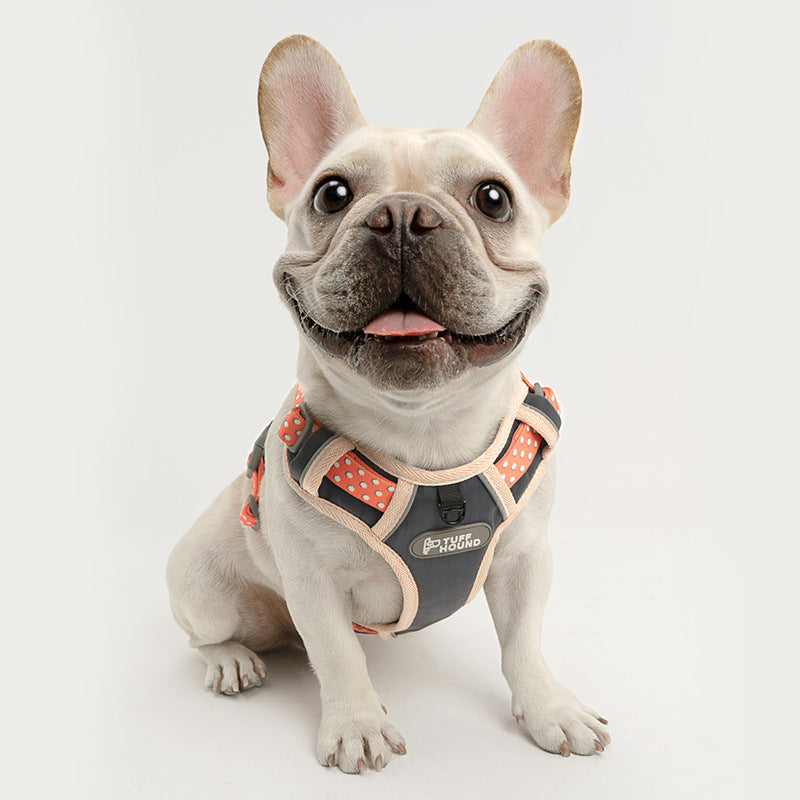 Dog chest strap - Premium all pets - Just $72.62! Shop now at Animal Bargain