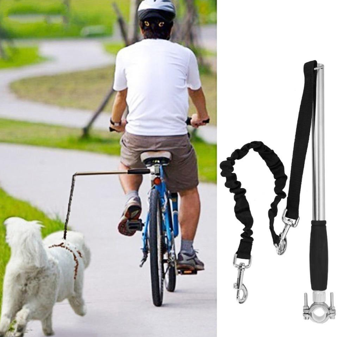 Bicycle walking dog leash - Premium all pets - Just $107.74! Shop now at Animal Bargain