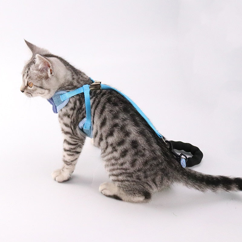 Pet chest and back leash - Premium 0 - Just $16.05! Shop now at Animal Bargain