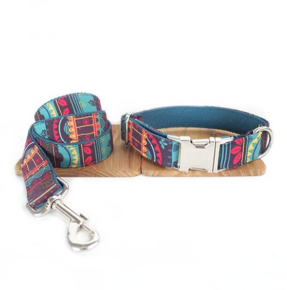 Colored pattern traction rope - Premium all pets - Just $57.01! Shop now at Animal Bargain