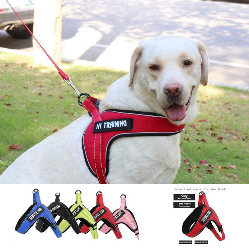 Custom Breathable Harness Vest for Dog with Reflective Strip and Metal Buckle - Premium all pets - Just $17.43! Shop now at Animal Bargain