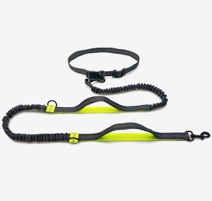 Amazon direct pet supplies multi-function running reflective pull dog leash double elastic dog leash traction - Premium All Pets - Just $39.58! Shop now at Animal Bargain