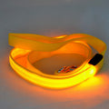 Glowing Pet Leash Glowing Dog LED - Premium 0 - Just $10.84! Shop now at Animal Bargain