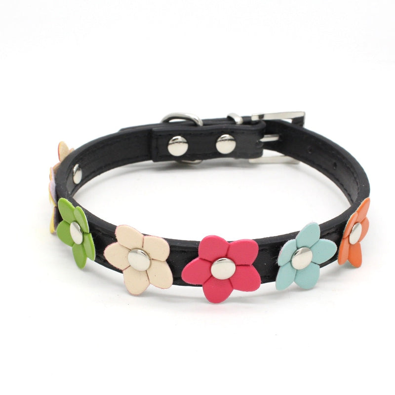 A Row Of Small Flower PU Pet Collar - Premium all pets - Just $13.35! Shop now at Animal Bargain