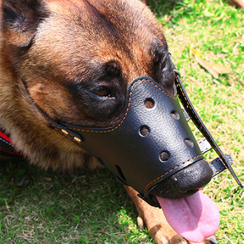 Small Dog Large Muzzle Adjustable Bite Proof - Premium all pets - Just $11.64! Shop now at Animal Bargain