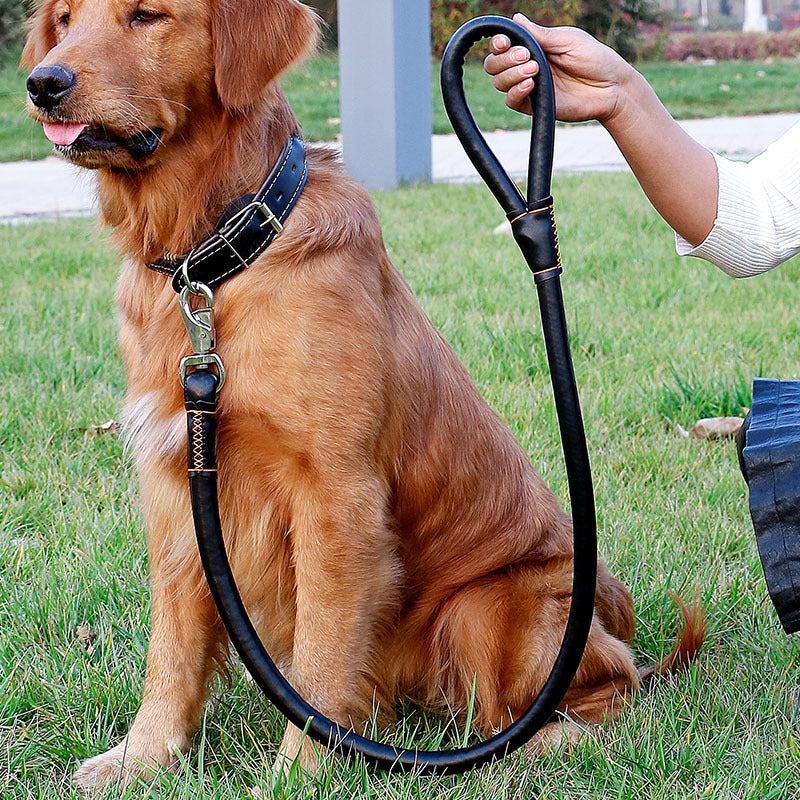 Collar Traction Rope And Dog Walking Leash Set - Premium all pets - Just $13.78! Shop now at Animal Bargain