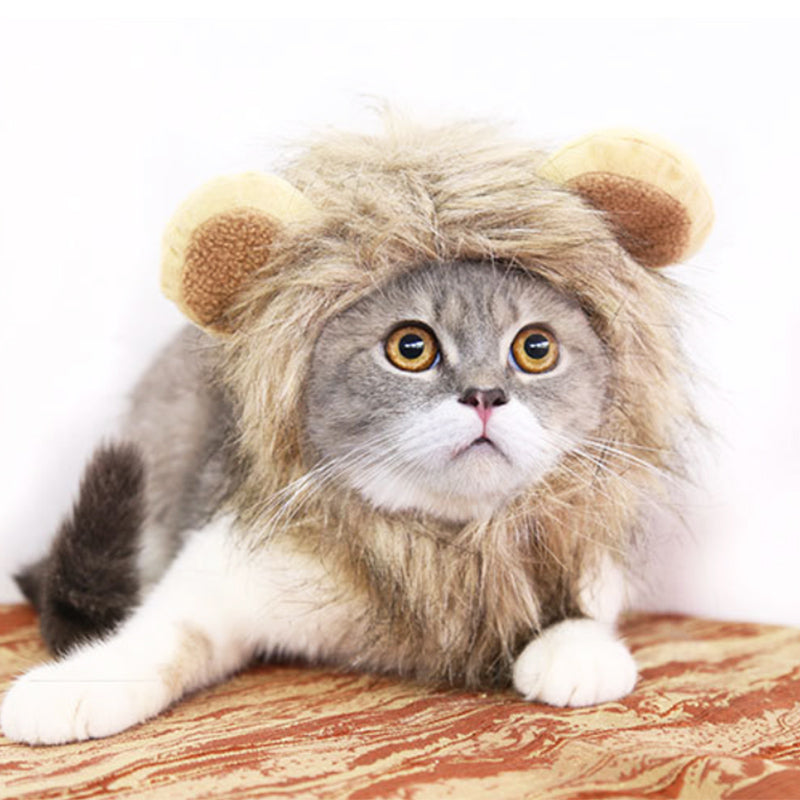 Funny Pet Hat For Small Dogs Cats Hat Emulation Lion Hair Mane Ears Head Cap Scarf Pet Halloween Festival Costume - Premium all pets - Just $27.22! Shop now at Animal Bargain
