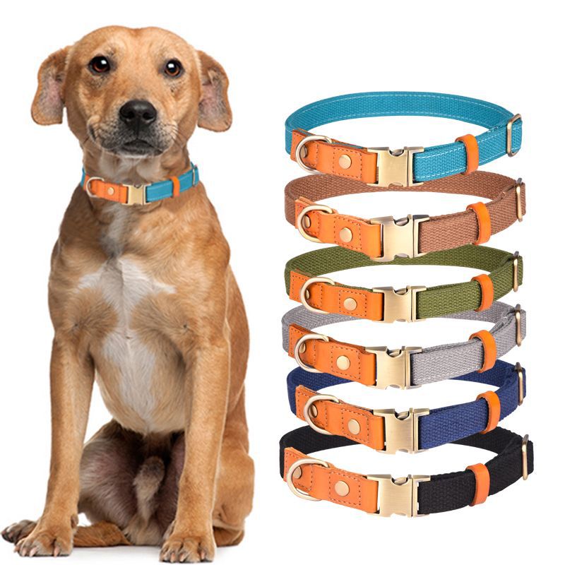 First Layer Cowhide Pet Collar - Premium all pets - Just $19.45! Shop now at Animal Bargain