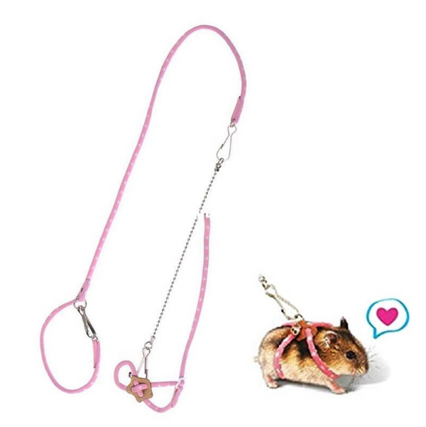 Training Traction Rope Hamster Supplies - Premium 0 - Just $17.43! Shop now at Animal Bargain