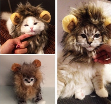 Funny Pet Hat For Small Dogs Cats Hat Emulation Lion Hair Mane Ears Head Cap Scarf Pet Halloween Festival Costume - Premium all pets - Just $27.22! Shop now at Animal Bargain