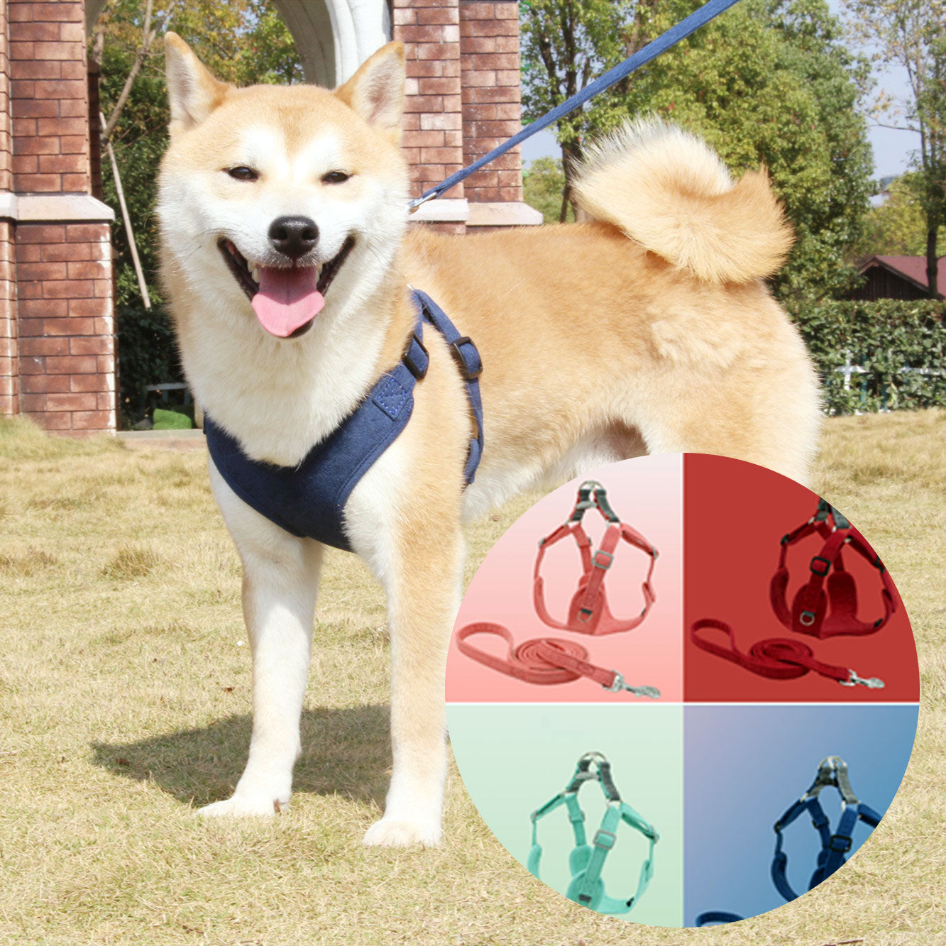 Suede Pet Chest Harness Dog Vest Leash - Premium all pets - Just $15.89! Shop now at Animal Bargain