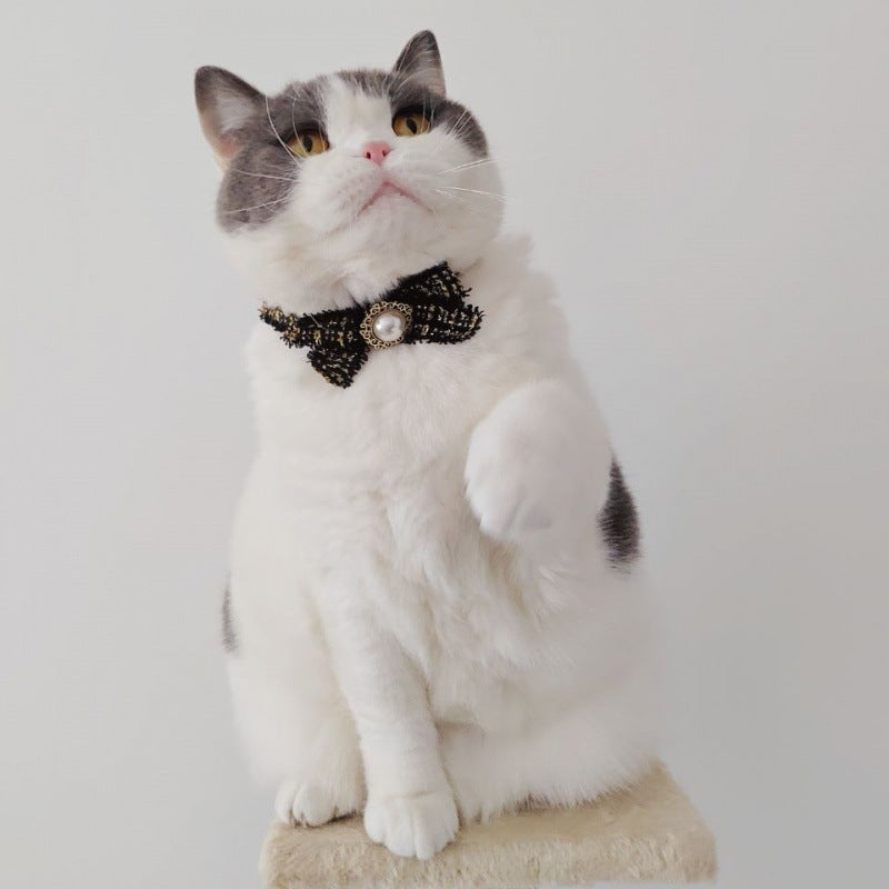 Cat Bow Tie Pet Collar Silent - Premium all pets - Just $24.60! Shop now at Animal Bargain