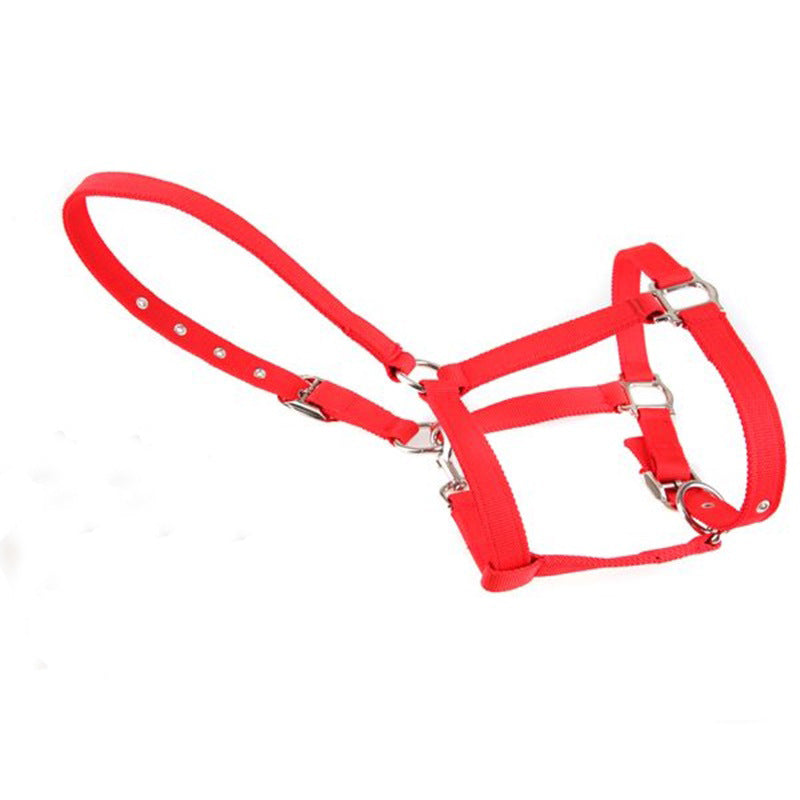 Horse Bridle Horse Headgear Can Be Customized Equestrian Equipment And Other Equestrian Supplies - Premium Collars + Leashes - Just $26.50! Shop now at Animal Bargain