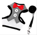 Bow evening dress pet strap - Premium all pets - Just $12.46! Shop now at Animal Bargain