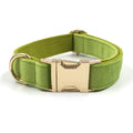 Simple Matcha Green Velvet Dog Collar - Premium 0 - Just $25.38! Shop now at Animal Bargain