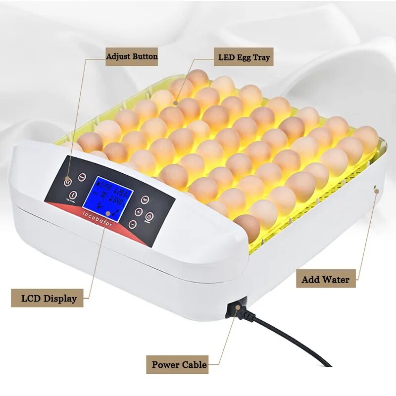 HHD 56 Egg Incubator Free Shipping Hatchery Machine Fully Automatic Incubator For Eggs Temperature Control Brooder For Chicken - Premium  - Just $130.95! Shop now at Animal Bargain