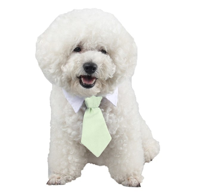 [MPK Cat Ties] Cute Pet Ties, Dog Collar Cat Collar, Pet Bow Ties, Dog Tie, Smart-Looking Pet Costume - Premium all pets - Just $41.85! Shop now at Animal Bargain
