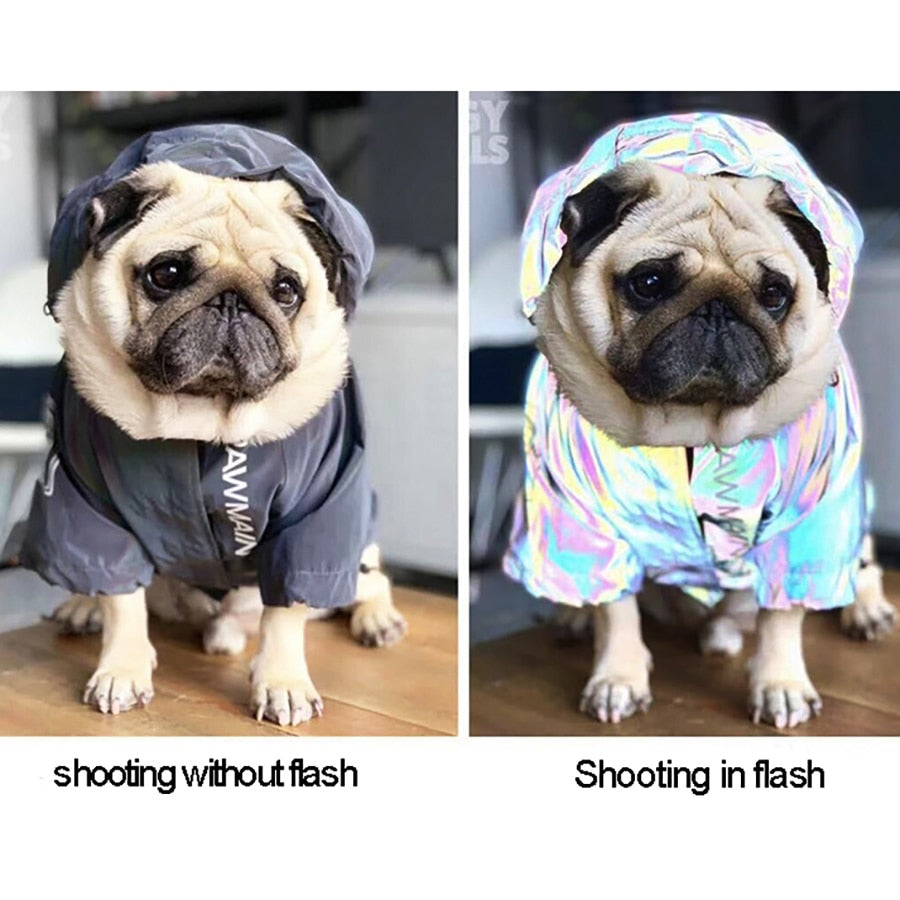 Reflective Pet Dog Clothes Winter Warm Coat Waterproof  Pet Jacket Dog Cat Coat Clothes for Small Meidum Large Dogs - Premium all pets - Just $21.60! Shop now at Animal Bargain