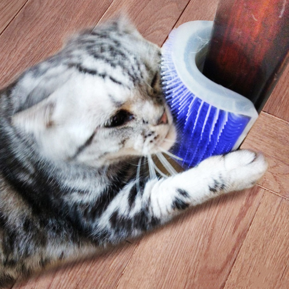 Cat Massage Brush Pet Cat Brush Corner Self Groomer Comb With Catnip Cat Rubs Cleaning Self Tickling Comb  Cat Supplies Pet Comb - Premium Pet Toys - Just $40.50! Shop now at Animal Bargain