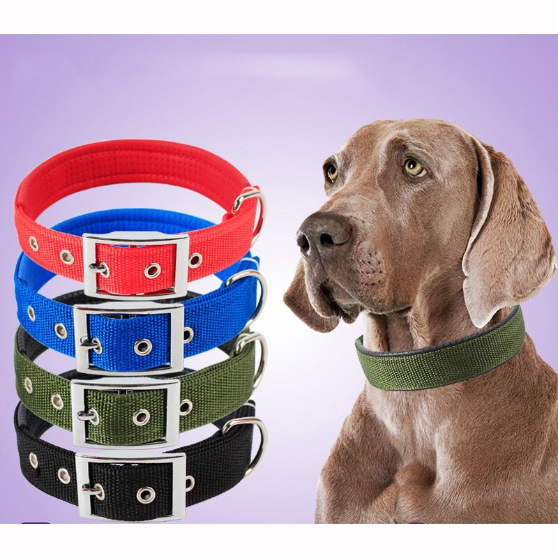 Solid Dog Collars  Nylon Dog Collar For Small Medium Large Dogs Teddy Keji Pitbull Bulldog Beagle - Premium all pets - Just $29.70! Shop now at Animal Bargain