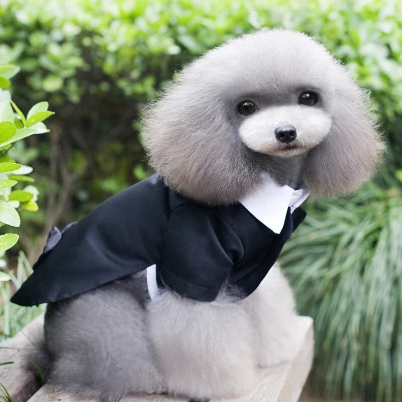 Cheap Clothing For Dogs Puppy Pet Clothes Western Style Male Dog Wedding Suit Tuxedo Chihuahua Costume Apparel for Small Dogs - Premium all pets - Just $32.40! Shop now at Animal Bargain