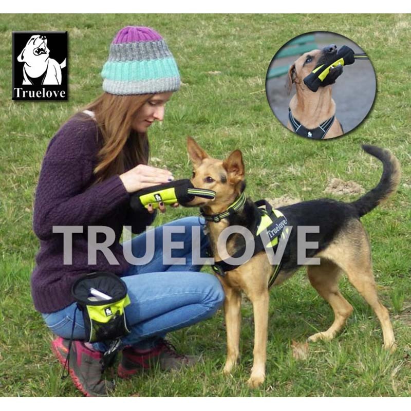 Truelove Feed Dummy Dog Pet Treat Bag Reflective Dog Training Carry Treats Dog Toys Pet Feed Pocket Pouch Poop Bag Dispenser - Premium all pets - Just $39.15! Shop now at Animal Bargain