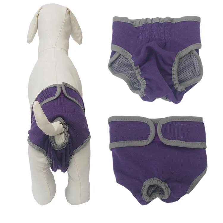 Pet Dog Shorts Pants For Dogs  Pet Physiological Pants Dog Underwear Diapers New Design Female Dog Briefs Sanitary Pantie - Premium  - Just $35.10! Shop now at Animal Bargain