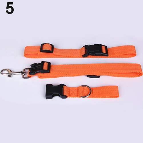 1PC Adjustable Hands Cat Dog Free Running Walking Jogging Pet Lead Leash Waist Belt Chest Strap Gift Traction Rope Pets Supplies - Premium All Pets - Just $27! Shop now at Animal Bargain
