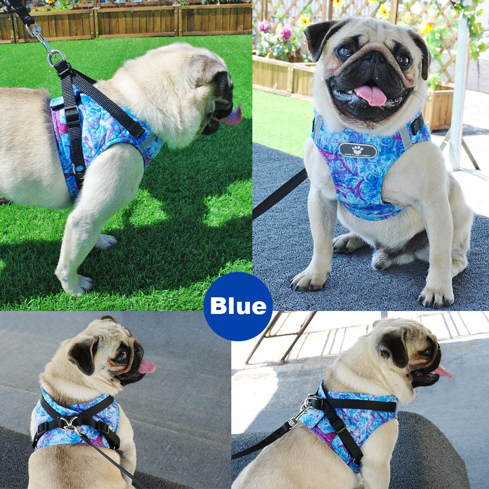 Reflective Small Dog Harness and Leash Set Soft Breathable Chihuahua Puppy Harness Vest Lead for Small Medium Dogs Bulldog - Premium all pets - Just $40.50! Shop now at Animal Bargain