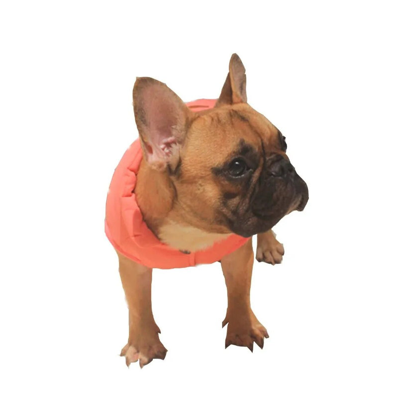 Cute Dog Clothes Winter Coat Jacket Puppy Pug French Bulldog Clothing Poodle Schnauzer Pet Costume Winter Dog Vest Dropshipping - Premium all pets - Just $37.80! Shop now at Animal Bargain