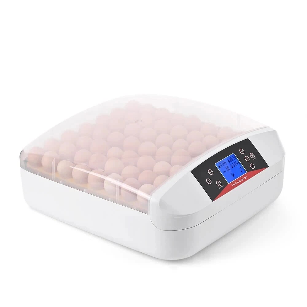 HHD 56 Egg Incubator Free Shipping Hatchery Machine Fully Automatic Incubator For Eggs Temperature Control Brooder For Chicken - Premium  - Just $130.95! Shop now at Animal Bargain