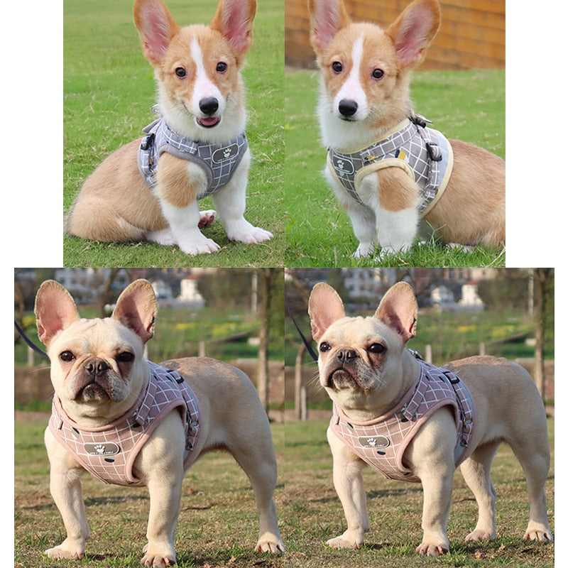 YUDODO Nylon Mesh Harness For Animals Reflective Dogs Harness Leash Set Dogs Vest Harness Leads Pet Clothes For Small Dogs - Premium all pets - Just $32.40! Shop now at Animal Bargain