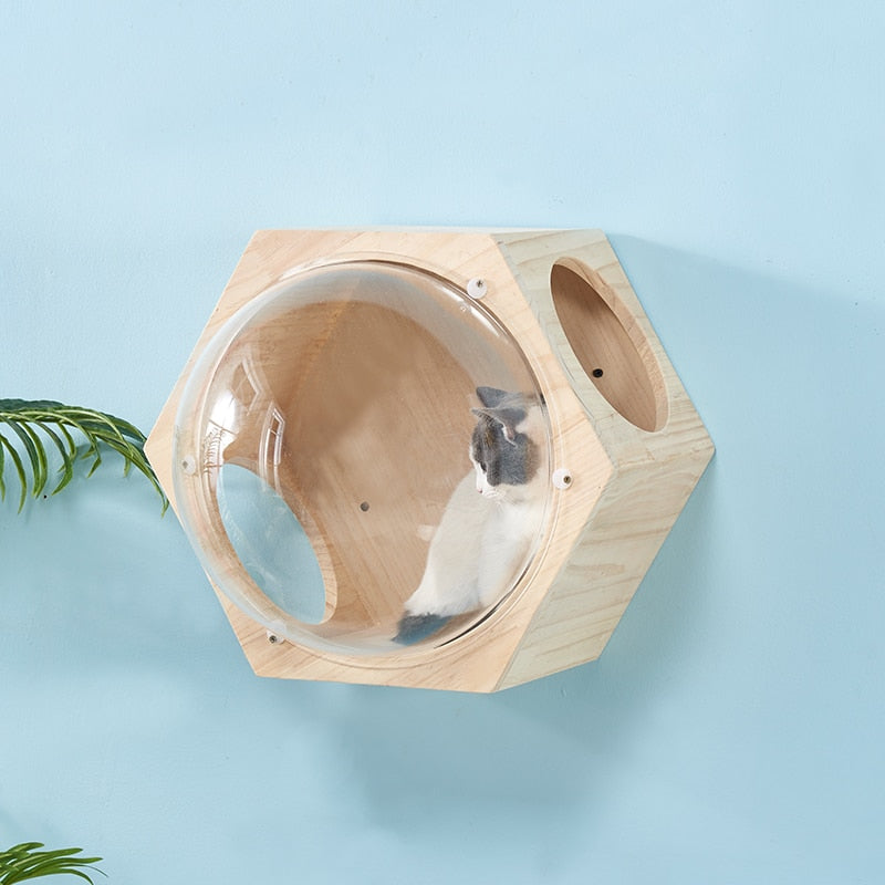 Wall-mounted Cat Climbing Frame Cat Tree Hexagonal Space Capsule Cat Wall Play House Cave Kitten Toy Bed DIY Pet Furniture - Premium all pets - Just $591.30! Shop now at Animal Bargain