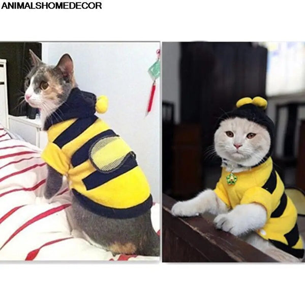 Cute Dog Clothes Cat Pet Clothes Bees Cat Clothes Soft Fleece Teddy Poodle Dog Clothing Pet Product Supplies Accessories - Premium  - Just $29.70! Shop now at Animal Bargain