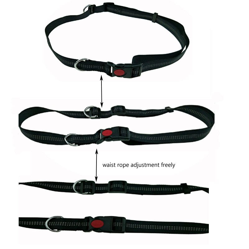 [TAILUP] Dogs Leash Running Elasticity Hand Freely Pet Products Dogs Harness Collar Jogging Lead and Adjustable Waist Rope CL153 - Premium all pets - Just $31.05! Shop now at Animal Bargain