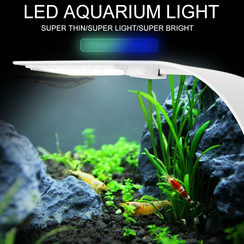 Super Slim LED Aquarium Light Lighting plants Grow Light 5W/10W/15W Aquatic Plant Lighting Waterproof Clip-on Lamp For Fish Tank - Premium Fish - Just $36.45! Shop now at Animal Bargain