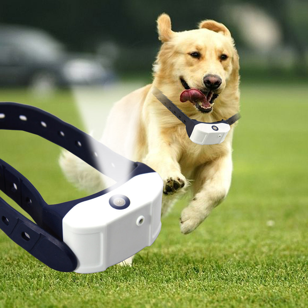 Intelligent Automatic Training Spray Anti-bark Training Device Electronic Collar - Premium All Pets - Just $143.67! Shop now at Animal Bargain