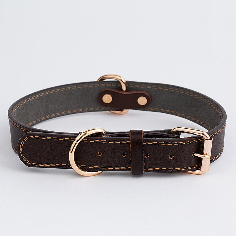 PU Leather Collar Dog Collar - Premium Collars + Leashes - Just $17! Shop now at Animal Bargain