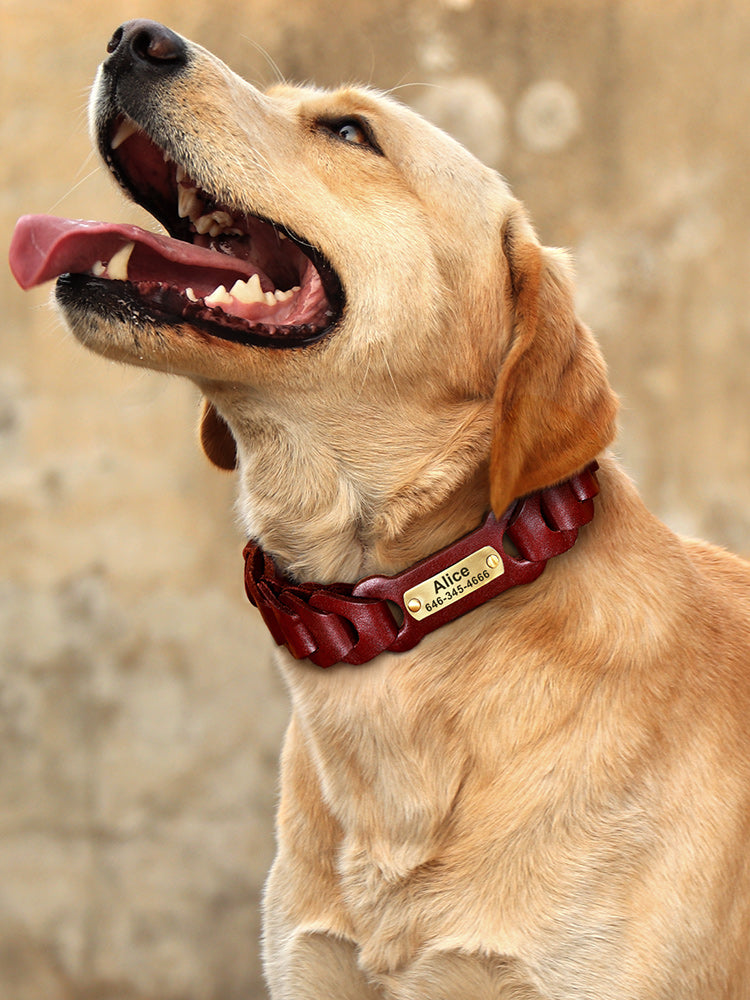 Dog Braided Leather Medium Large Dog Collar - Premium all pets - Just $116.21! Shop now at Animal Bargain
