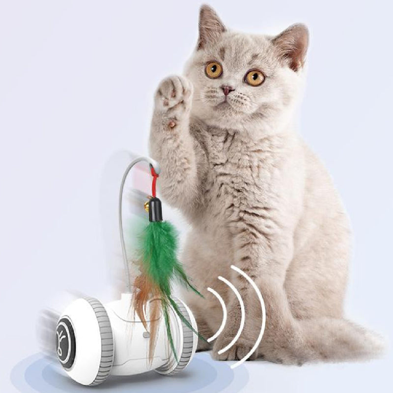 Interactive Cat Toy With Interchangeable Heads  Pet Feather Toys - Premium Pet Toys - Just $122.13! Shop now at Animal Bargain